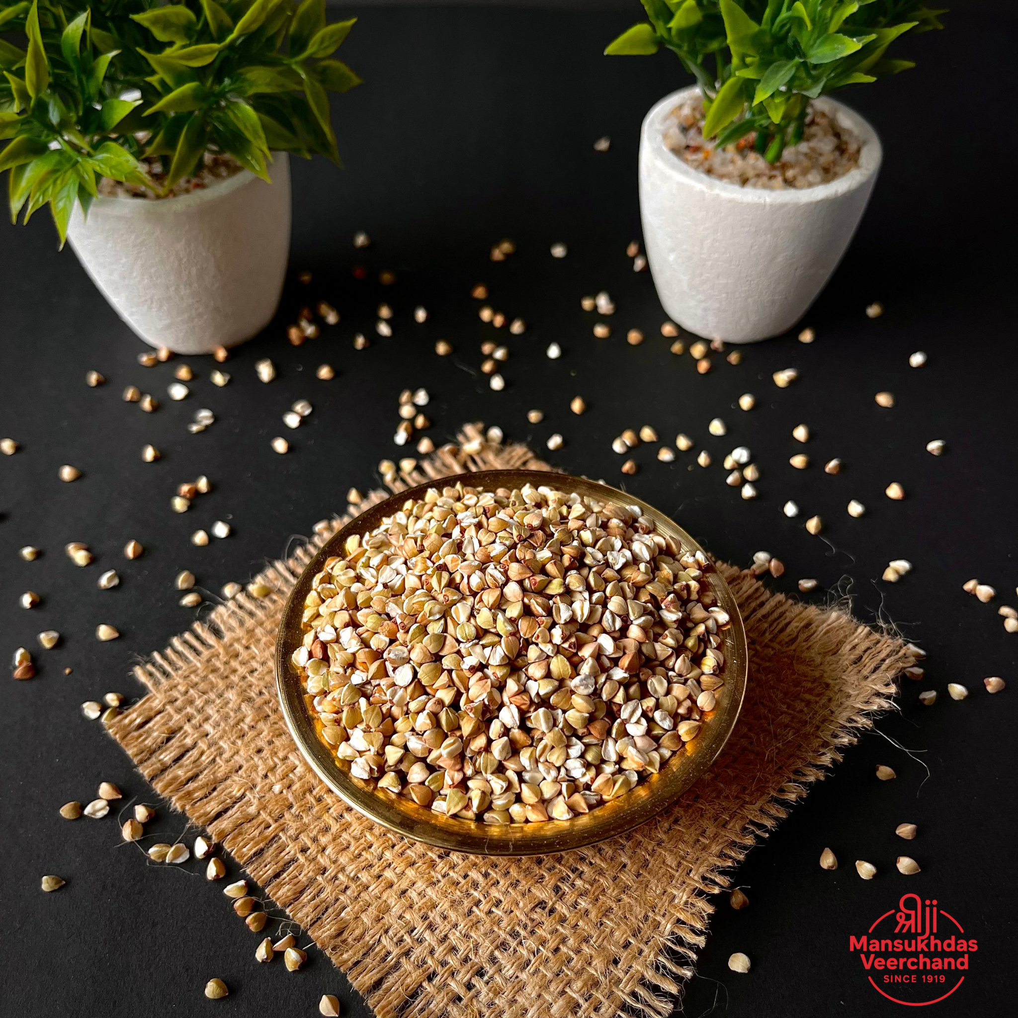 Vrat & Fasting Foods